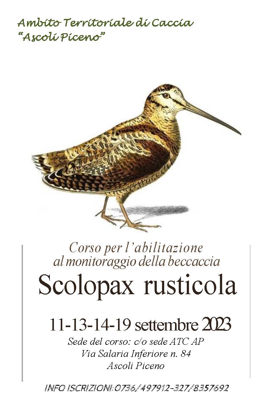 locandina_corso_beccaccia_ok